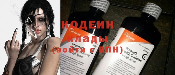крисы Баксан