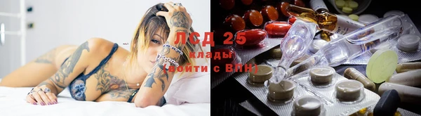 крисы Баксан